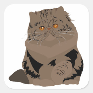 bruine tabby perzische kat vierkante sticker