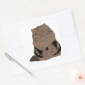 bruine tabby perzische kat vierkante sticker (Envelop)