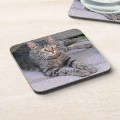 Bruine tablet in openlucht bier onderzetter (Linkerzijde)