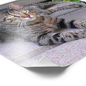 Bruine tablet in openlucht foto afdruk (Hoek)