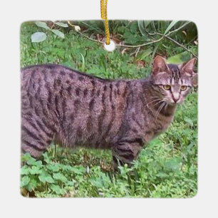 Bruine tablet in openlucht keramisch ornament