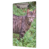 Bruine tablet in openlucht klembord (Links)