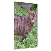 Bruine tablet in openlucht klembord (Rechts)