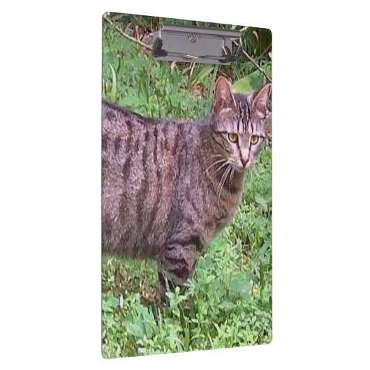 Bruine tablet in openlucht klembord (Rechts)