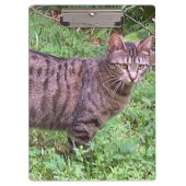 Bruine tablet in openlucht klembord (Voorkant)