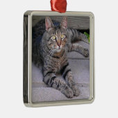 Bruine tablet in openlucht metalen ornament (Rechts)