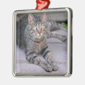 Bruine tablet in openlucht metalen ornament (Links)