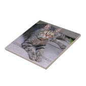 Bruine tablet in openlucht tegeltje (Zijkant)