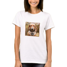 Bruine teckel met gesloten ogen