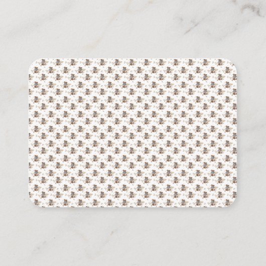 Bruine teddybeer, het is een jongen! Boeken voor B Informatiekaartje (Achterkant)