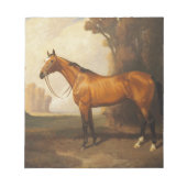 bruine thoroughbred Horse Notitieblok (Voorkant)