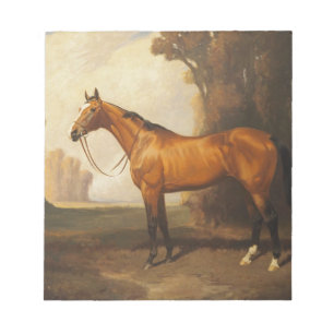 bruine thoroughbred Horse Notitieblok