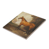  bruine thoroughbred Horse Tegeltje (Zijkant)
