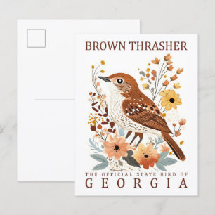 Bruine Thrasher Bird of Georgia Verenigde Staten R Briefkaart