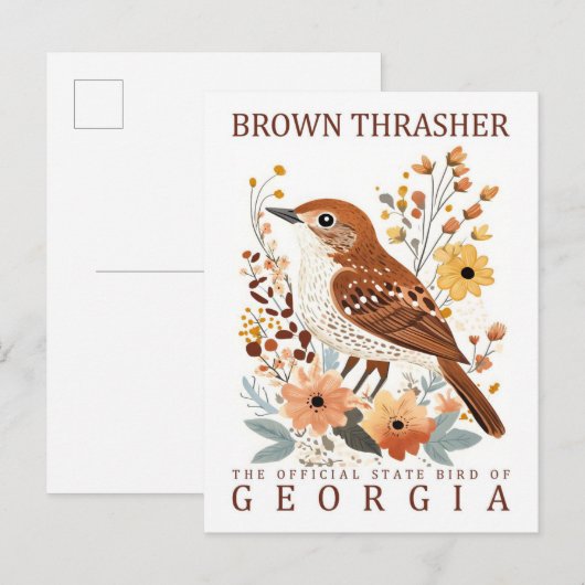 Bruine Thrasher Bird of Georgia Verenigde Staten R Briefkaart (Voorkant / Achterkant)