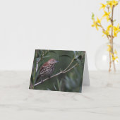 Bruine Thrasher - Joe Sweeney - kaart (Gele Bloem)