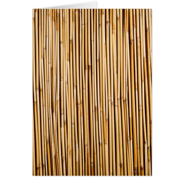 Bruine Tropische Bamboe Plant Botanisch (Voorkant)