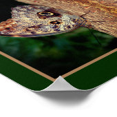 Bruine Uil Vlinder Close Up Natuur Abstract Poster (Hoek)