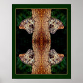Bruine Uil Vlinder Close Up Natuur Abstract Poster (Voorkant)