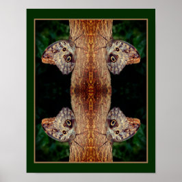 Bruine Uil Vlinder Close Up Natuur Abstract Poster