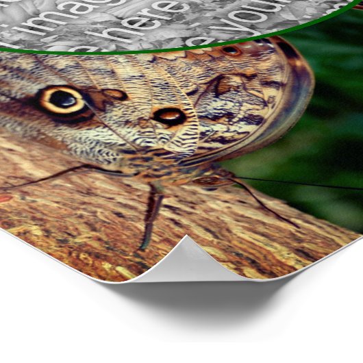 Bruine Uil Vlinder Lijst Creëer Uw Eigen Foto Poster (Hoek)