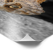 Bruine Uil Vlinder Partiële Kleur 8x10 Foto Afdruk (Hoek)