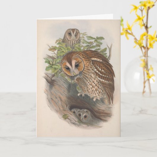 bruine uil vogel blanco notitie Kaart (Gele Bloem)
