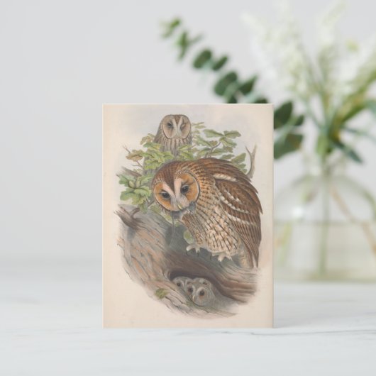  bruine uil Vogel Briefkaart (Staand voorkant)