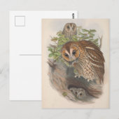  bruine uil Vogel Briefkaart (Voorkant / Achterkant)