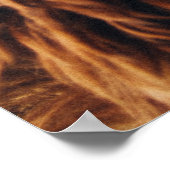 Bruine vacht poster (Hoek)