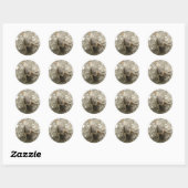 Bruine-veldecricketstickers Ronde Sticker (Vel)