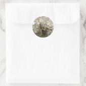Bruine-veldecricketstickers Ronde Sticker (Tas)