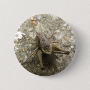 Bruine Veldkrekel Knop Ronde Button 5,7 Cm