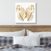 Bruine vlinder, bovengrondse uitzicht canvas afdruk (Insitu (Slaapkamer))