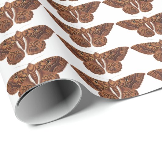  bruine vlinder cadeaupapier (Rol Hoek)