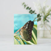 Bruine vlinder gesloten vleugels briefkaart (Staand voorkant)