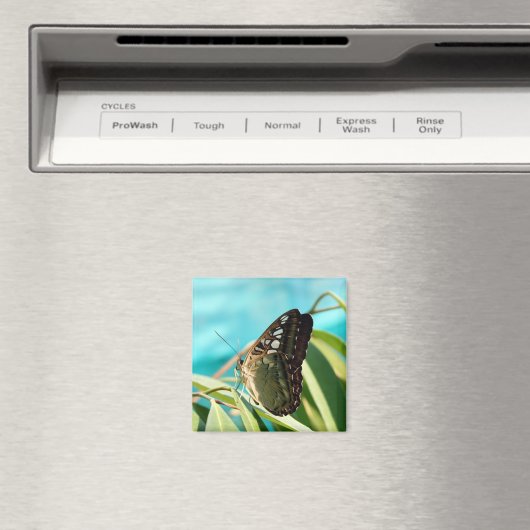 Bruine vlinder gesloten vleugels magneet (Insitu (Vaatwasser))