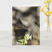 Bruine vlinder kaart (Gele Bloem)