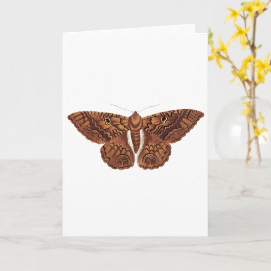  bruine vlinder kaart (Gele Bloem)