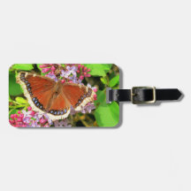 Bruine vlinder met blauwe vlekken