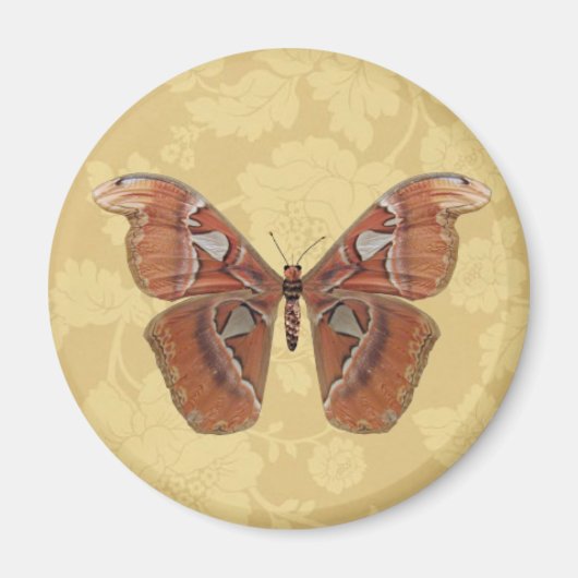 bruine vlinder op beige bloemen magneet (Voorkant)