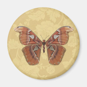  bruine vlinder op  beige Floral Magneet