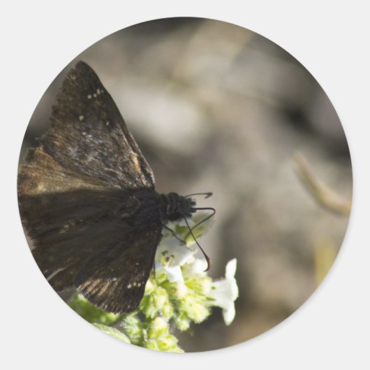 Bruine vlinder ronde sticker (Voorkant)
