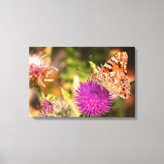 Bruine vlinder roze doorn foto canvas Print (Voorkant)