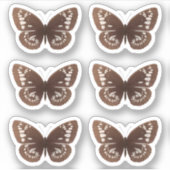 Bruine vlinder stickers natuur insectenvlinders (Voorkant)