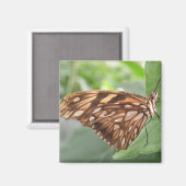 bruine vlindermagneet magneet (Voorkant / Achterkant)