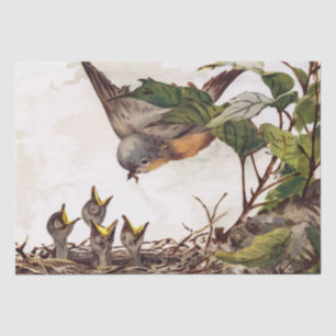 Bruine Vogel en Nest Decoupage Set Robin 4 van 4 Tissuepapier