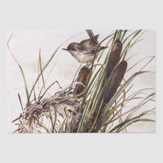 Bruine Vogel en Nest Decoupage Set Wren 2 van 4 Tissuepapier (Voorkant)