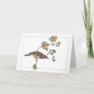 Bruine vogel op een kleurrijke Blackberry Branch Kaart