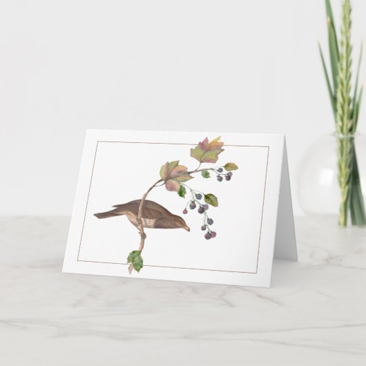 Bruine vogel op een kleurrijke Blackberry Branch Kaart (Voorkant)